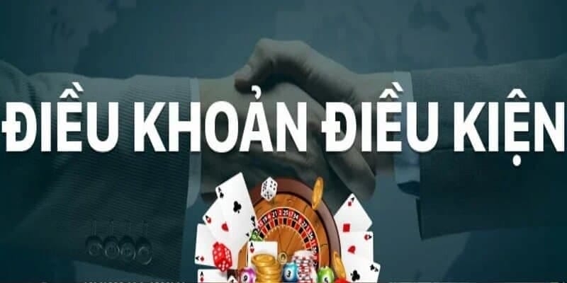 Cách theo dõi điều khoản và điều kiện