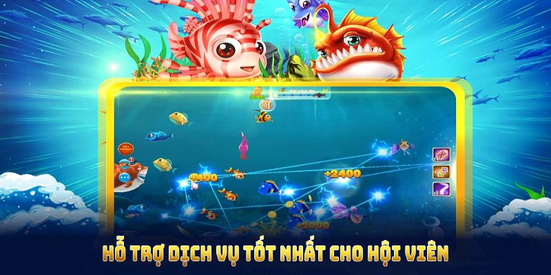Nhà cái BK88 luôn hỗ trợ dịch vụ tốt nhất cho hội viên